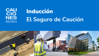 Inducción El Seguro de Caución Image